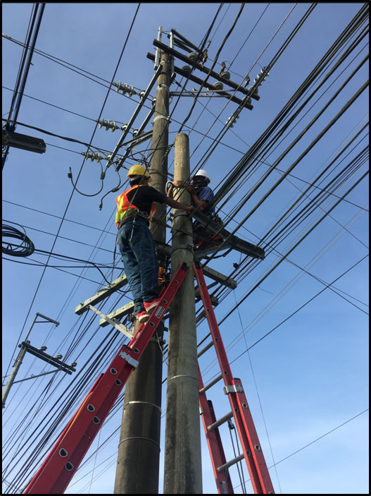 TELCO FIBER REHAB, POLE RECOVERY AND POLE ERECTION  image